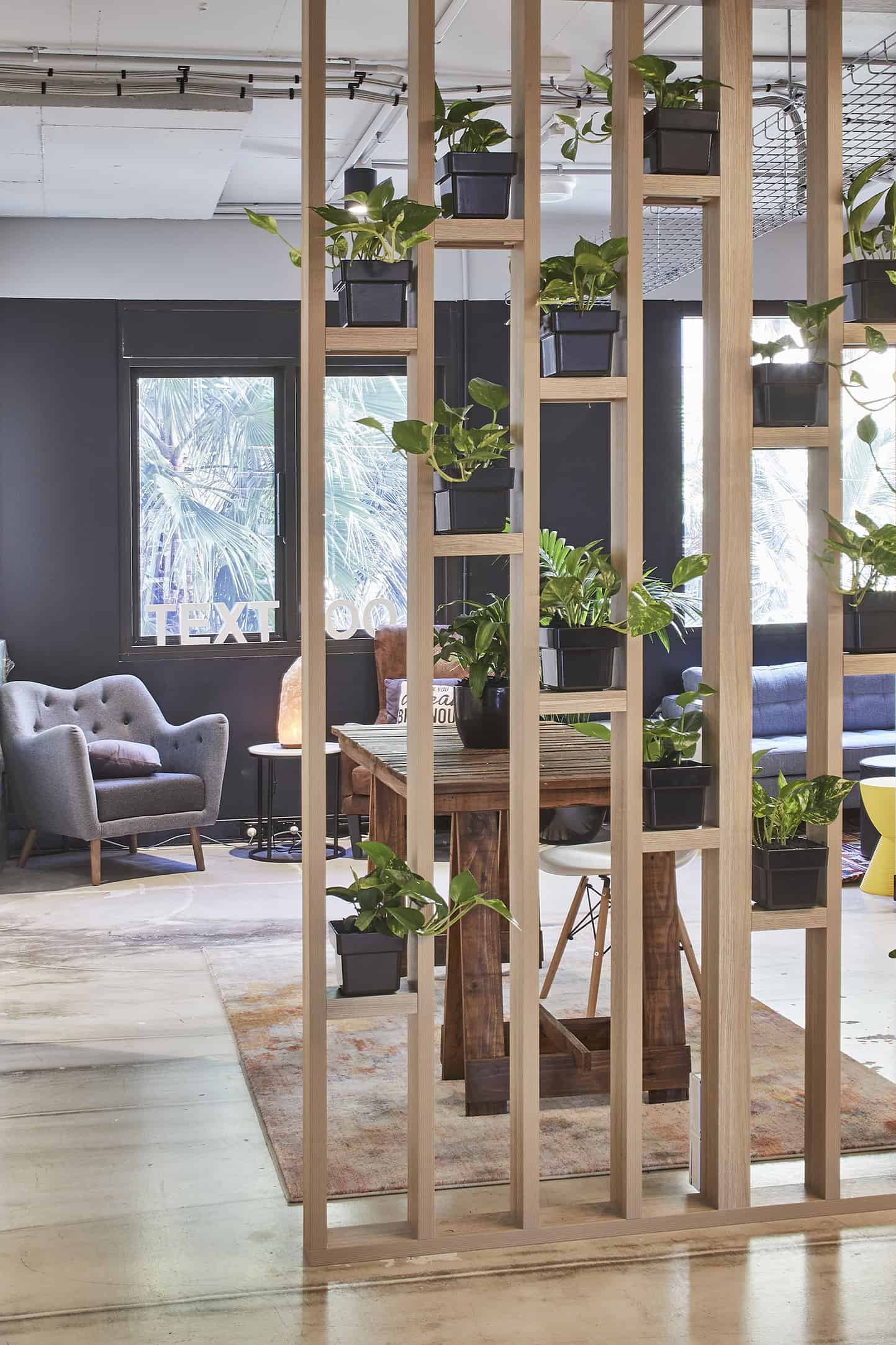 office fitouts sydney cbd breakroom indoor plants