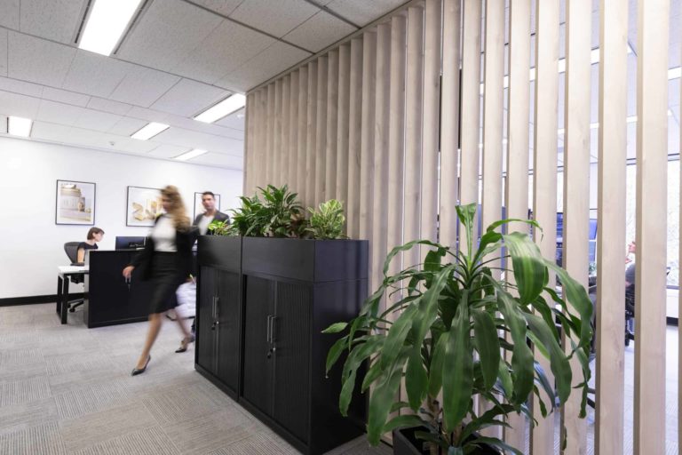 office fitouts sydney plants room divider