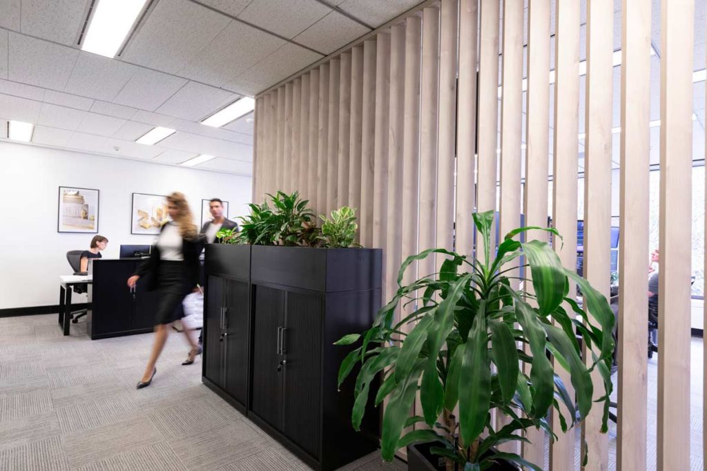 Why Indoor Plants are Great for Commercial Interiors