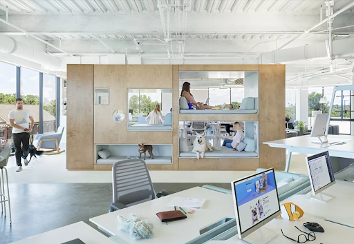 Bark Offices interior design